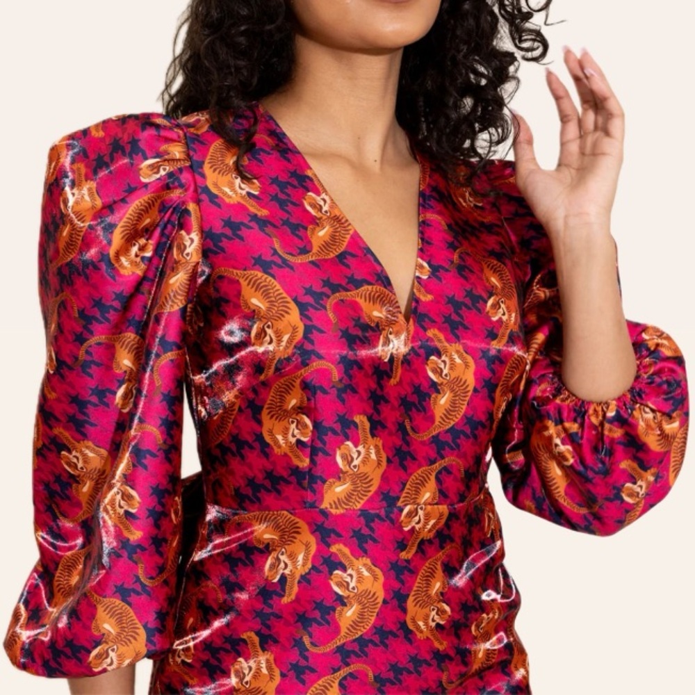 Alden Adair Sophie Dress - Party Prowl - Picture 2 of 5